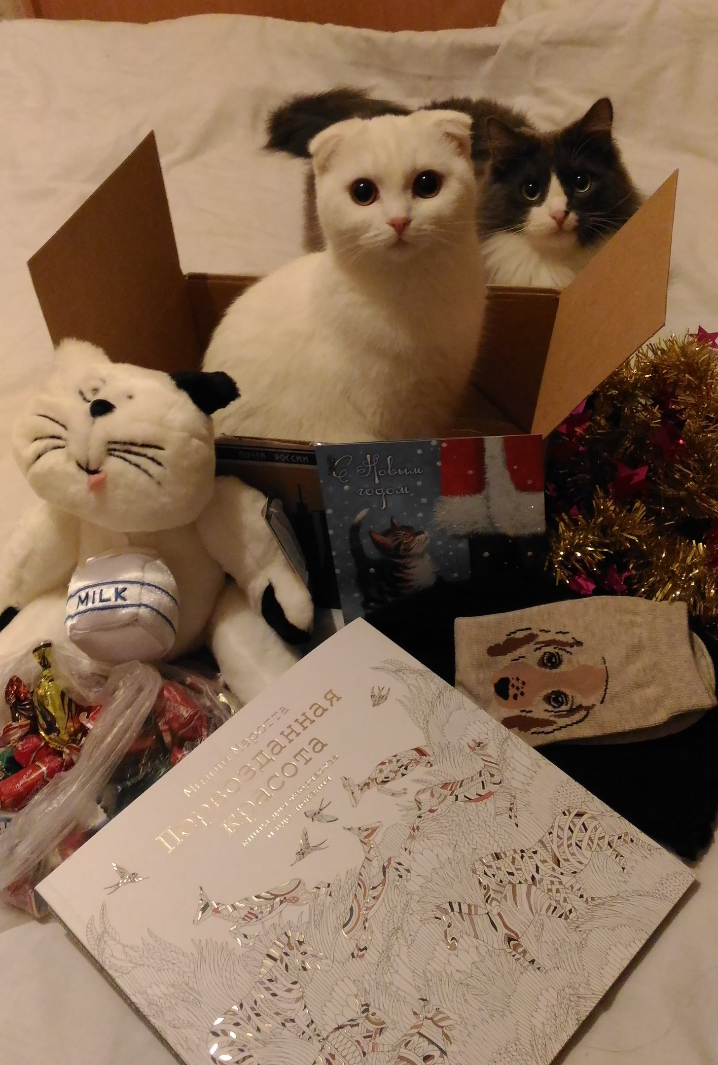 A gift from a secret Snow Maiden from Moscow to Nizhnevartovsk - My, My, Gift exchange, Secret Santa, New Year, Longpost