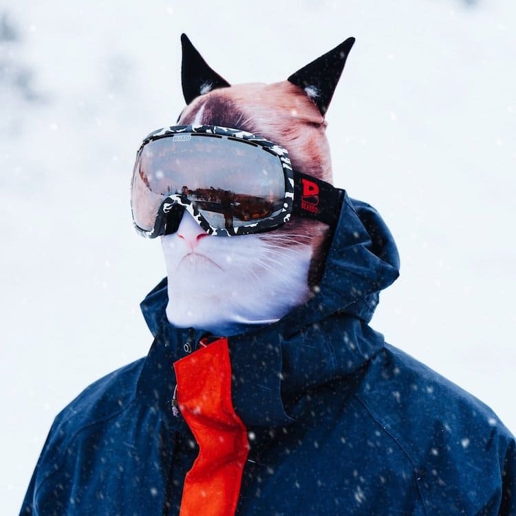 Designers from Canada have created animal balaclavas - Canada, Designer, Mask, Balaclava, Skis, Longpost