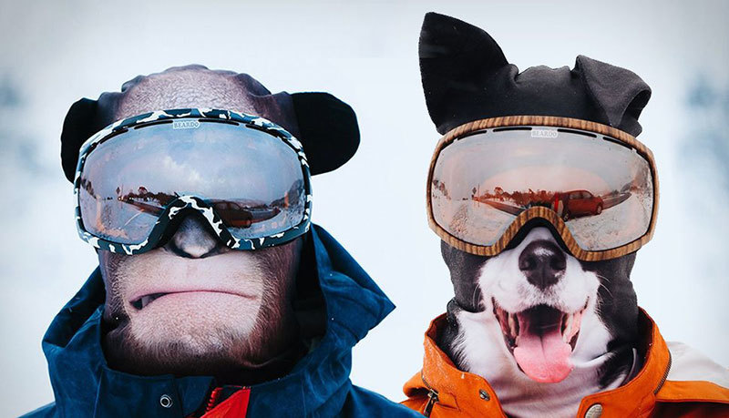 Designers from Canada have created animal balaclavas - Canada, Designer, Mask, Balaclava, Skis, Longpost