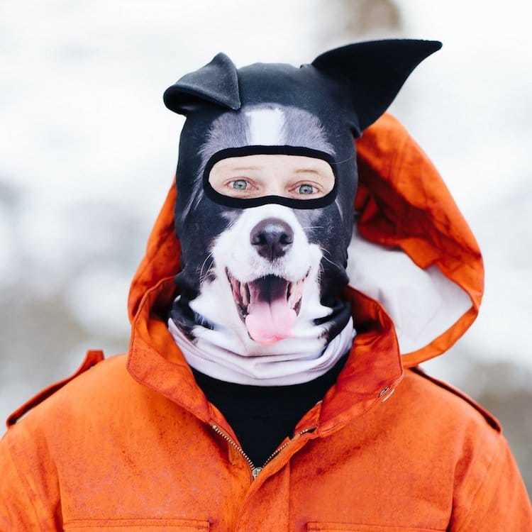 Designers from Canada have created animal balaclavas - Canada, Designer, Mask, Balaclava, Skis, Longpost