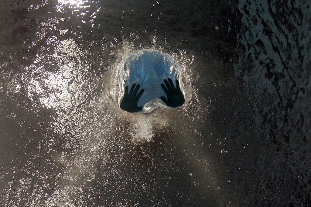 The best sports photos of 2017 - The photo, Sport, 2017, The best, Longpost