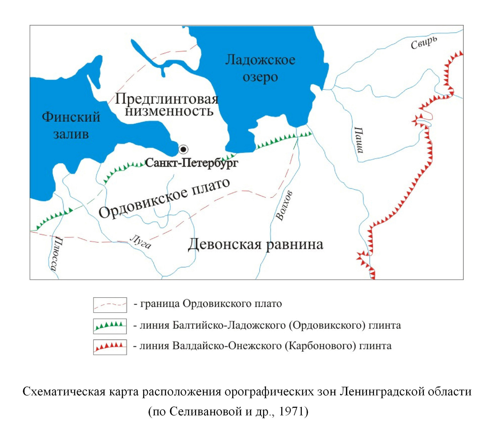 Поиск трилобитов в Ленобласти | Пикабу