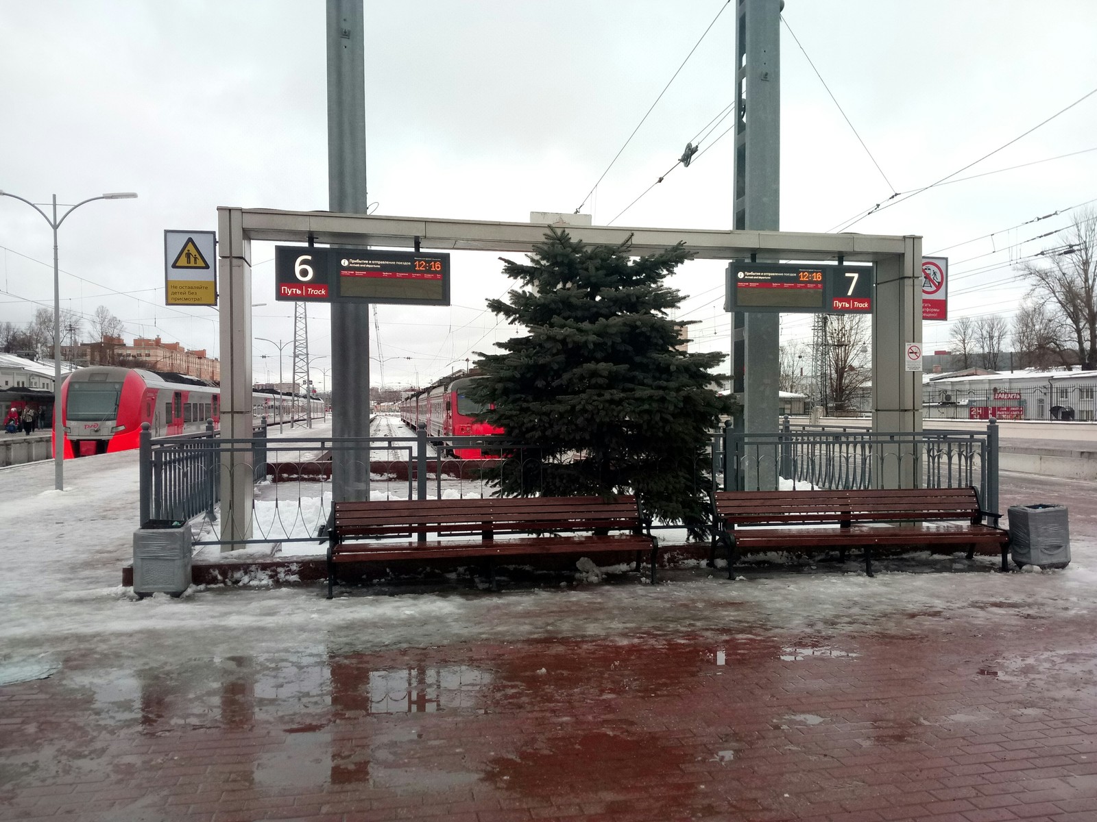 L - landscape design, Procrustean bed. - My, Finlyandsky Railway Station, Blue spruces, Landscape design, Building