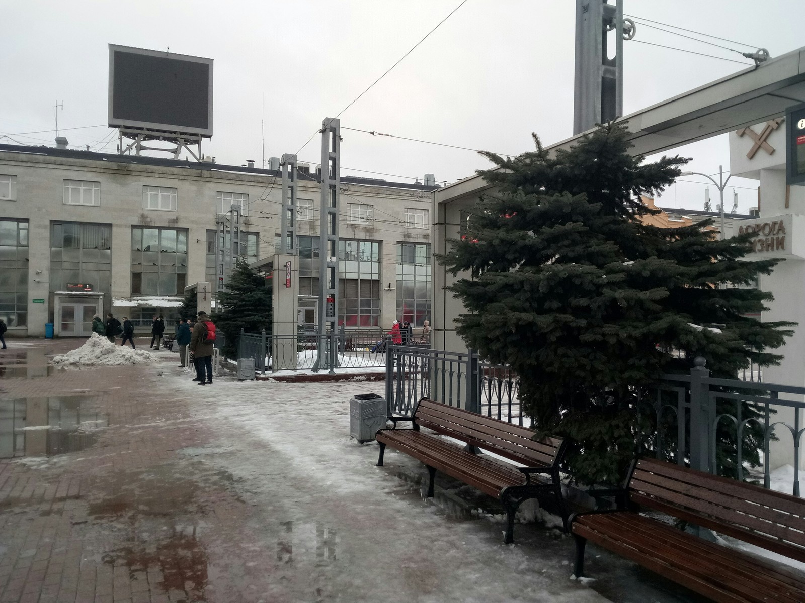 L - landscape design, Procrustean bed. - My, Finlyandsky Railway Station, Blue spruces, Landscape design, Building