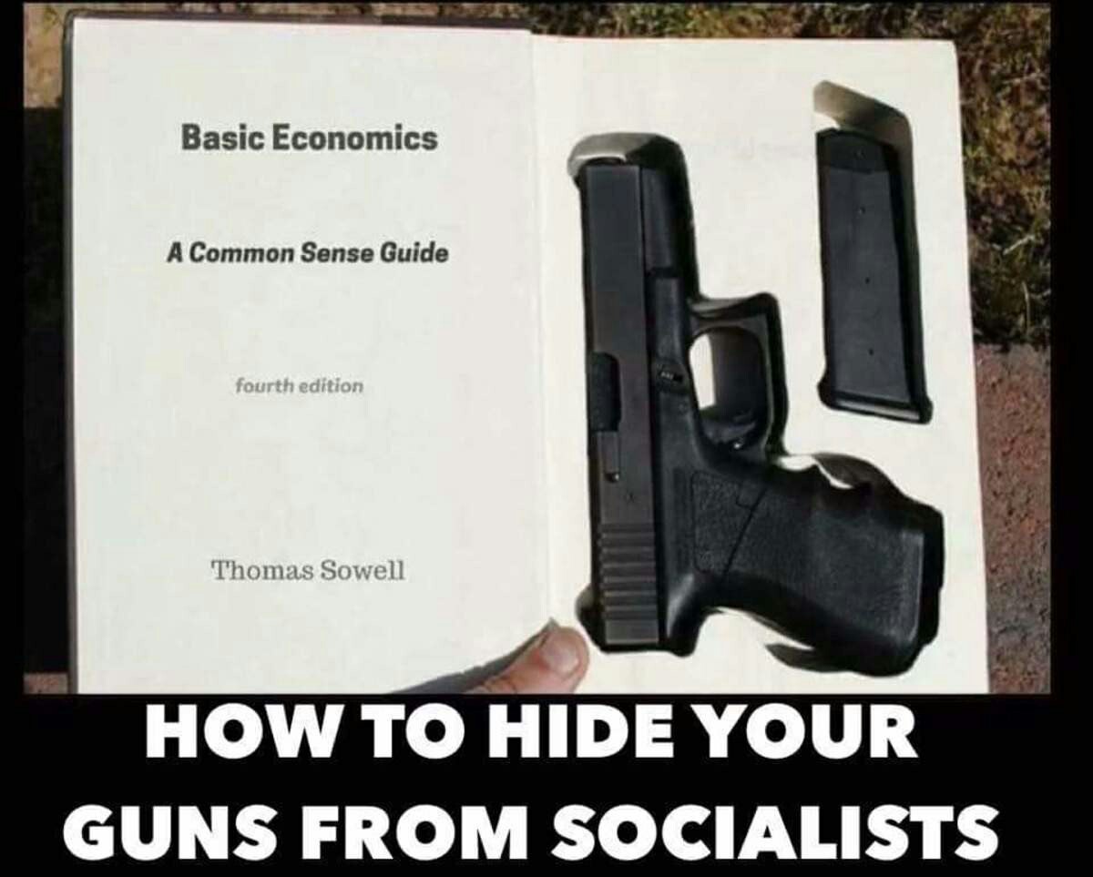 How to properly hide your weapons from the socialists - Weapon, Life hack, Arms League, Humor