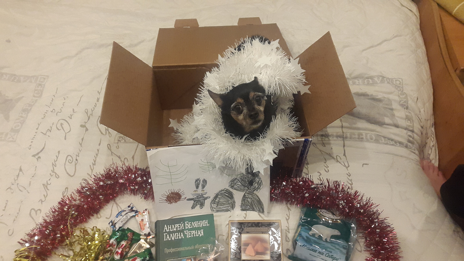 So a New Year's surprise came to me from Izhevsk))) - My, Gift exchange, Secret Santa, Longpost