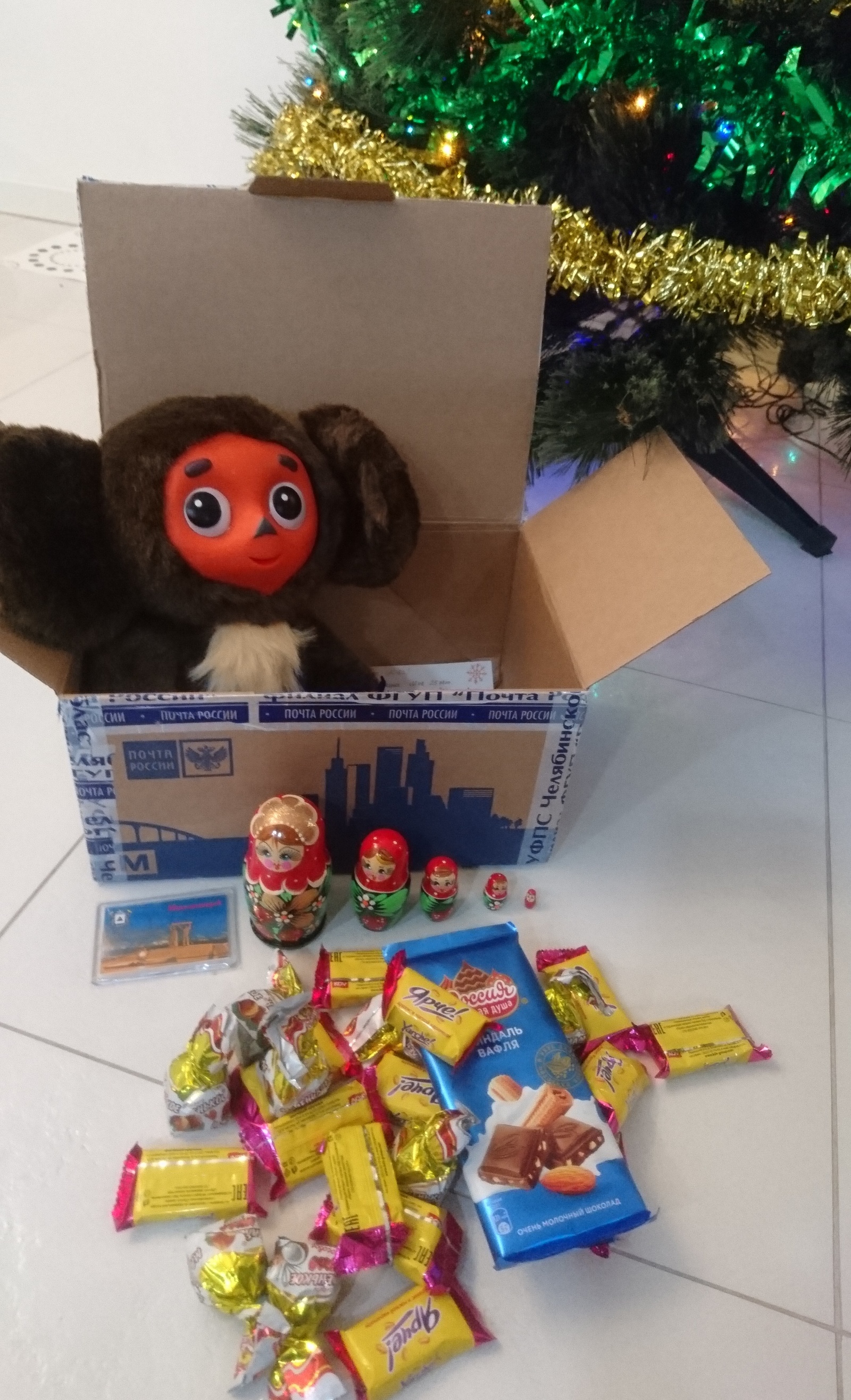 Magnitogorsk ---> Berlin - Gift exchange, New Year, Secret Santa, Father Frost, Longpost, cat, Mainstream