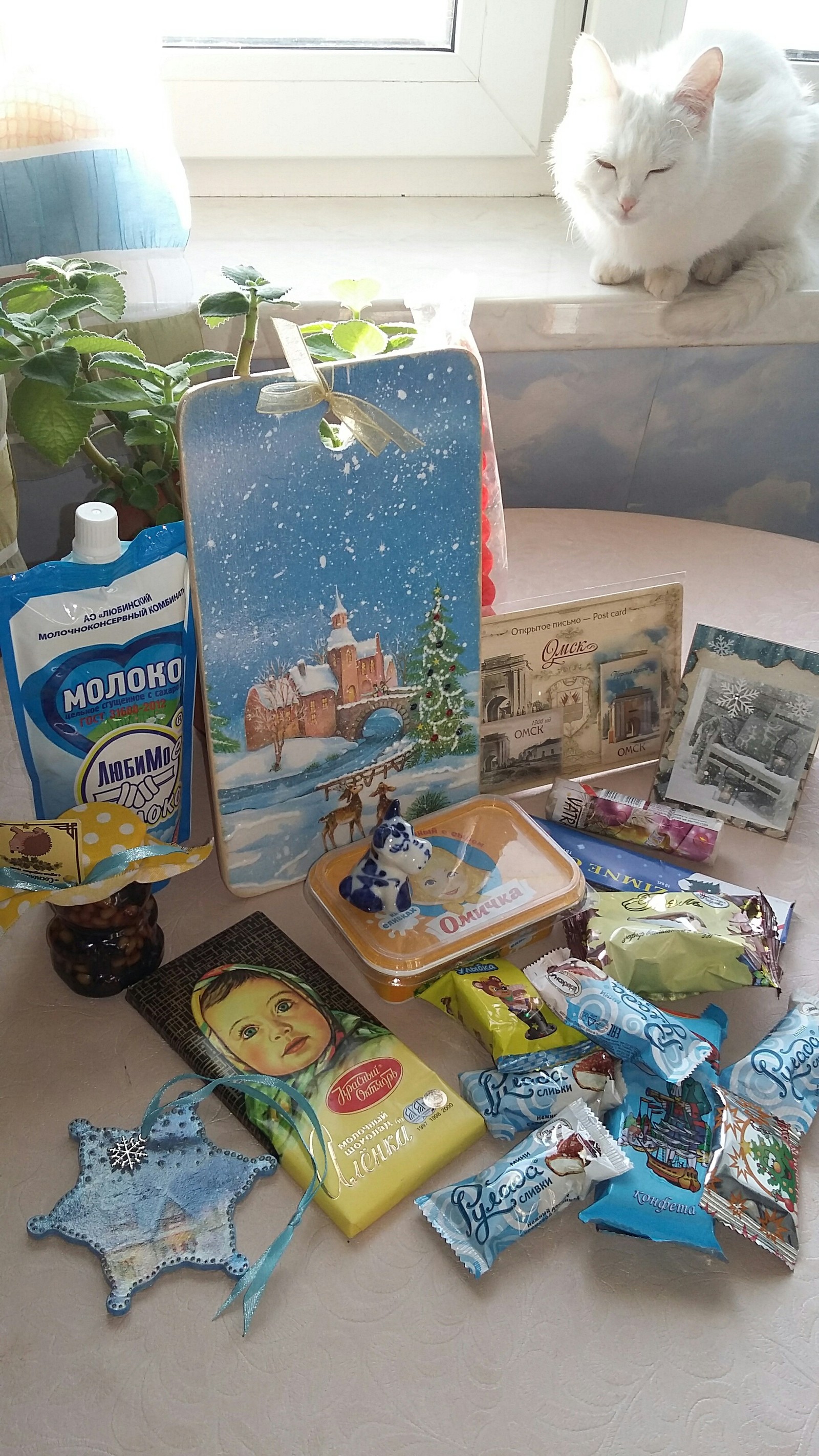 Received a gift from Omsk! - My, Gift exchange, Chita, Omsk, Longpost, cat