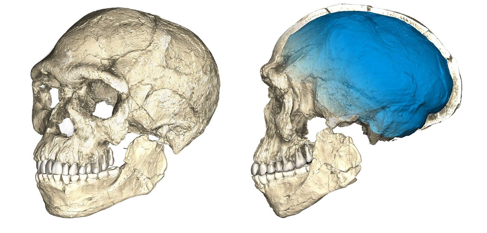 Hot ten of ANTROPOGENES.RU: results of the scientific year - 2017 - My, Anthropogenesis, Results of the year, Anthropology, Archeology, Alexander Sokolov, The science, Video, Longpost