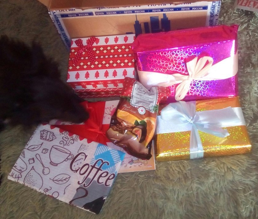 A gift from the Snow Maiden from the Sverdlovsk region - Gift exchange, Secret Santa, Dog, Longpost