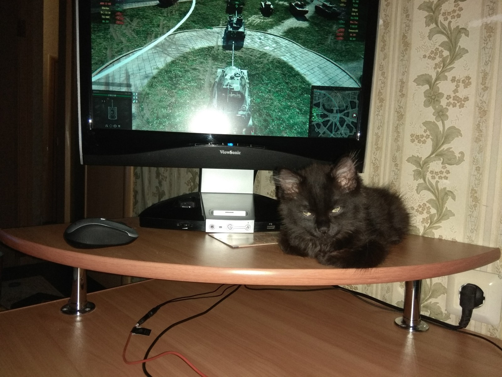 The owner went to bed. - My, cat, World of tanks, Dream, Time