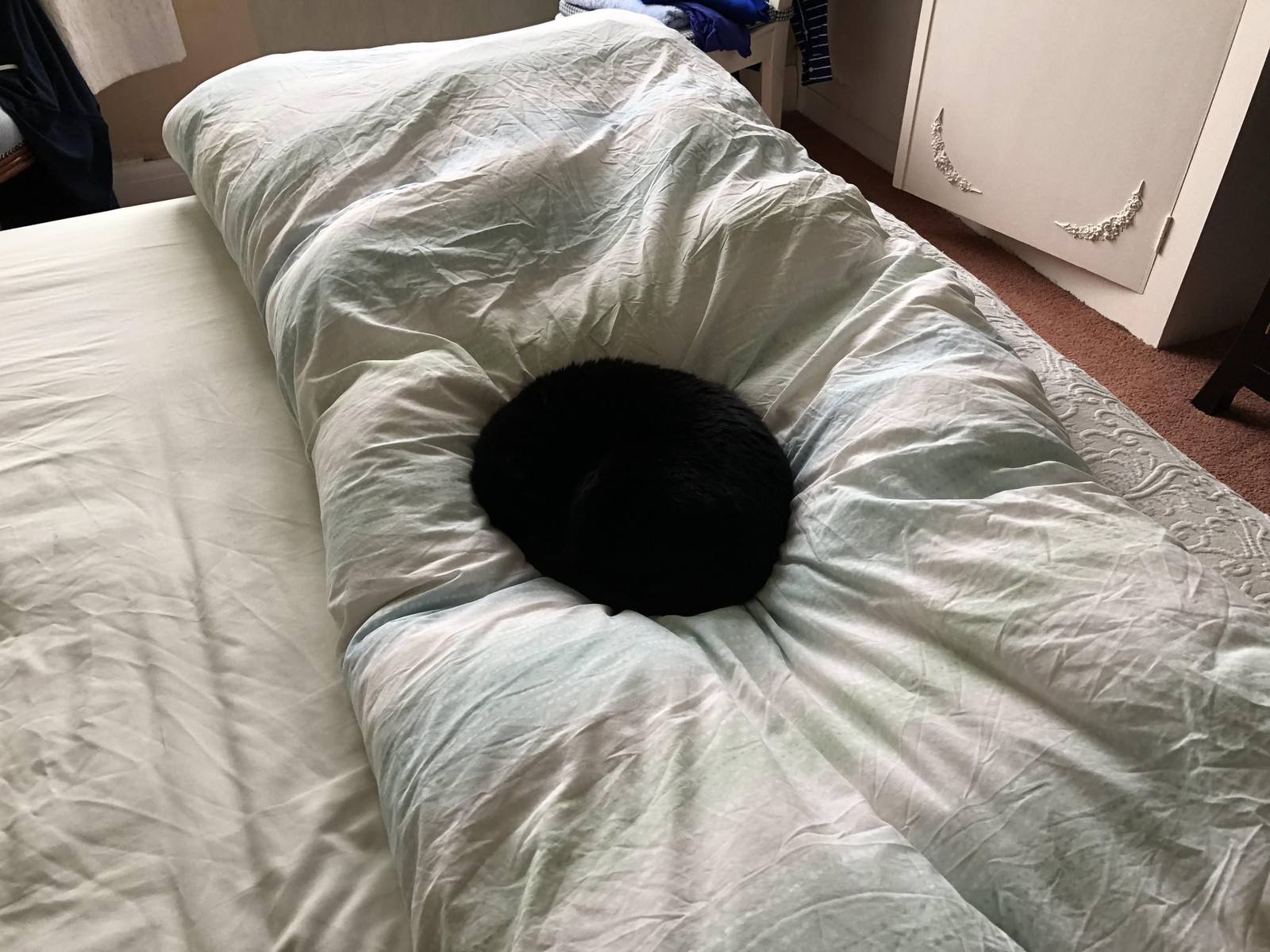 Black hole - cat, Dream, Bed