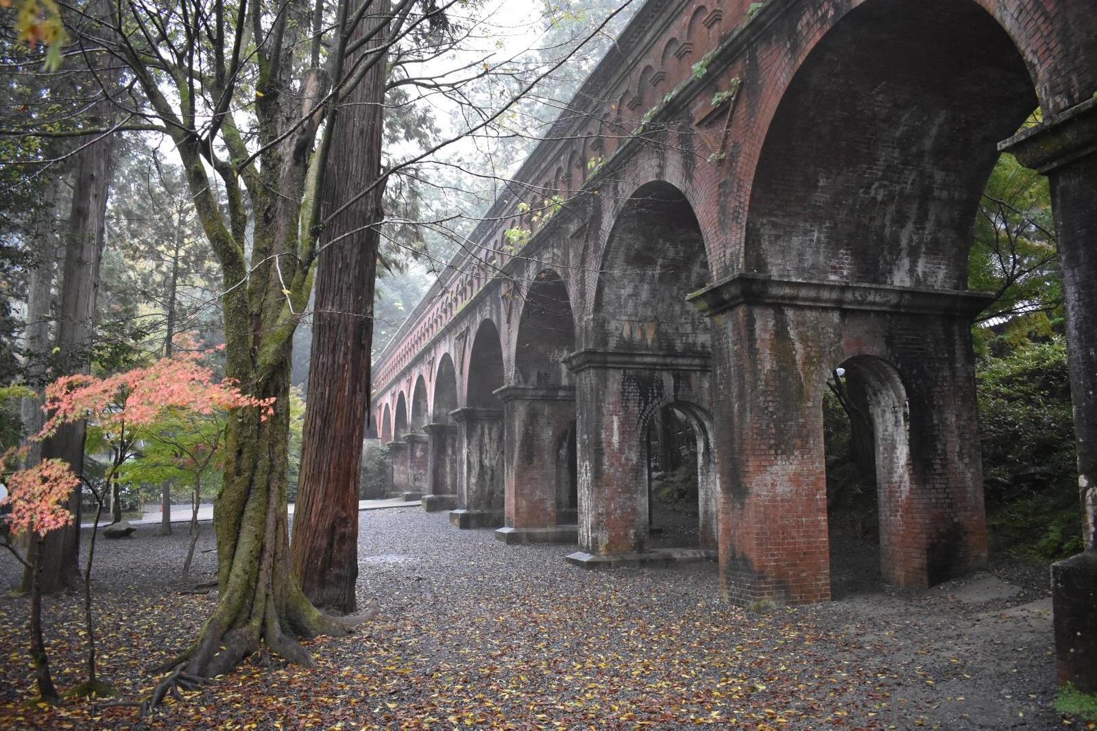 In this place in Kyoto (Japan) one could shoot some scene from the Lord of the Rings - Kyoto, Japan, Lord of the Rings, From the open spaces