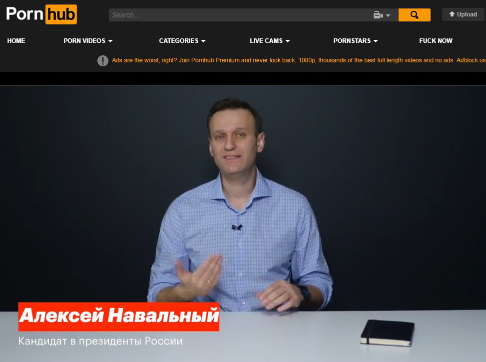 Where else to look for mother's oppositionists, father's revolutionaries, if not on PornHub? - Alexey Navalny, Politics, Pornhub