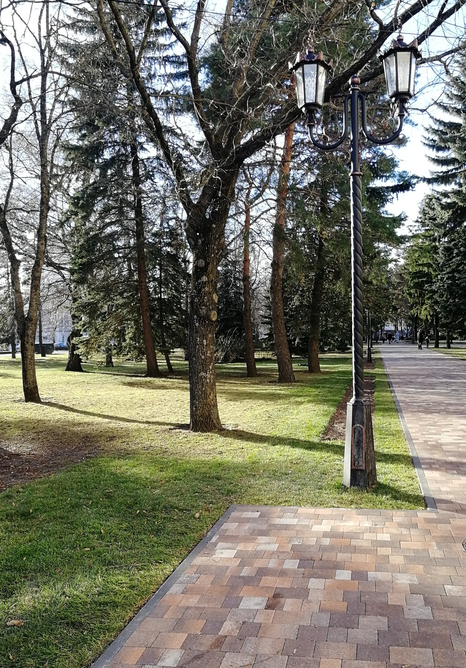 Great winter day - My, Winter, Stavropol, Christmas trees, New Year, Longpost