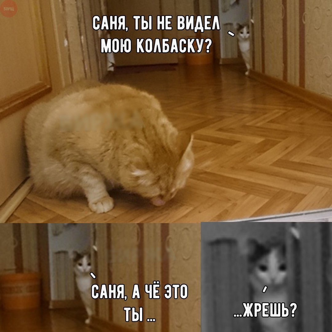 Котовое - Кот, Колбаса, Вуська и Соня