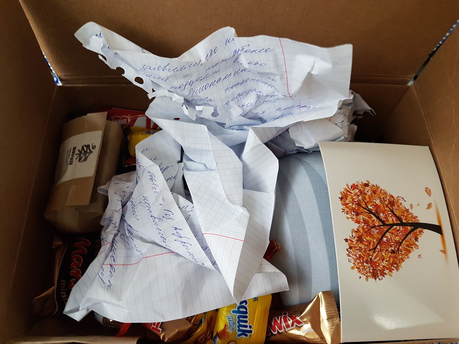 My Secret Santa from Surgut - My, Catomafia, Gift exchange, Secret Santa, New Year, cat, My, Longpost