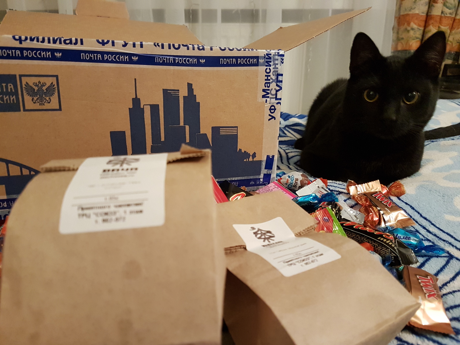 My Secret Santa from Surgut - My, Catomafia, Gift exchange, Secret Santa, New Year, cat, My, Longpost