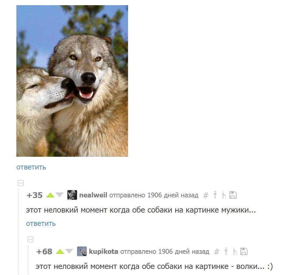 Awkward moment - Moment, Awkwardness, Wolf, Dog, Comments, Comments on Peekaboo