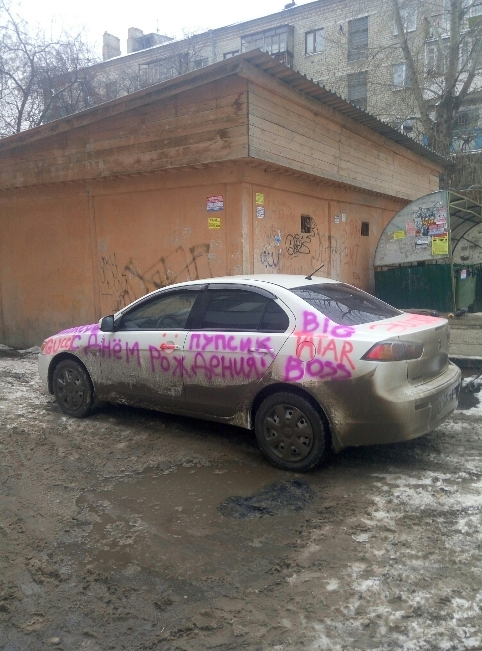 С днём рождения, Пупсик! - Моё, Подарки, Пупсик, Бедняга, Новый Год