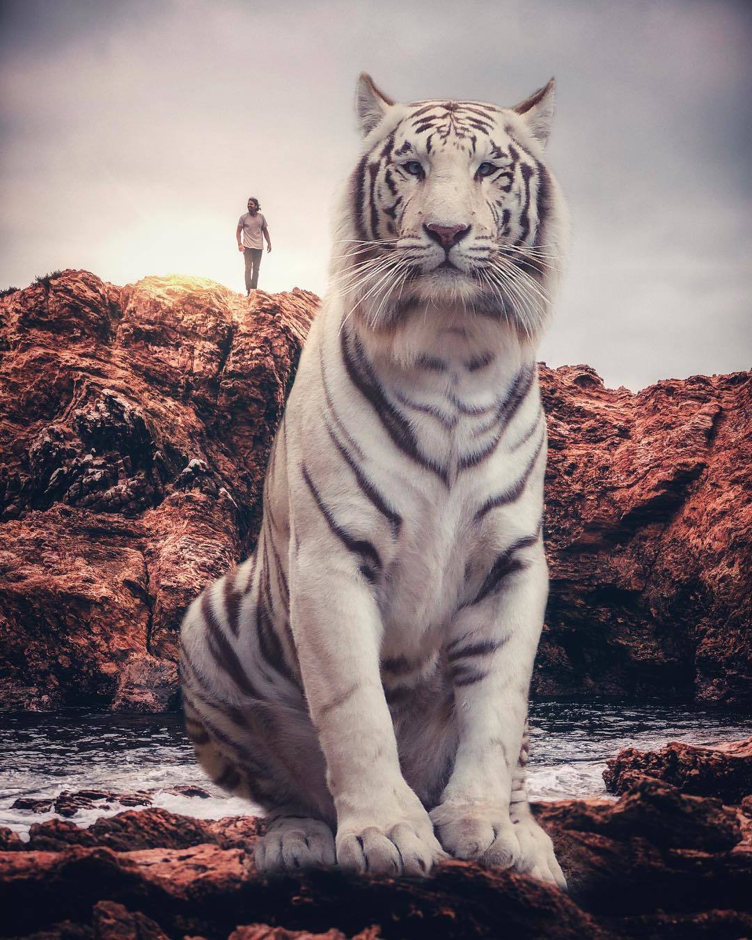 Greatness - The photo, Photoshop, Longpost