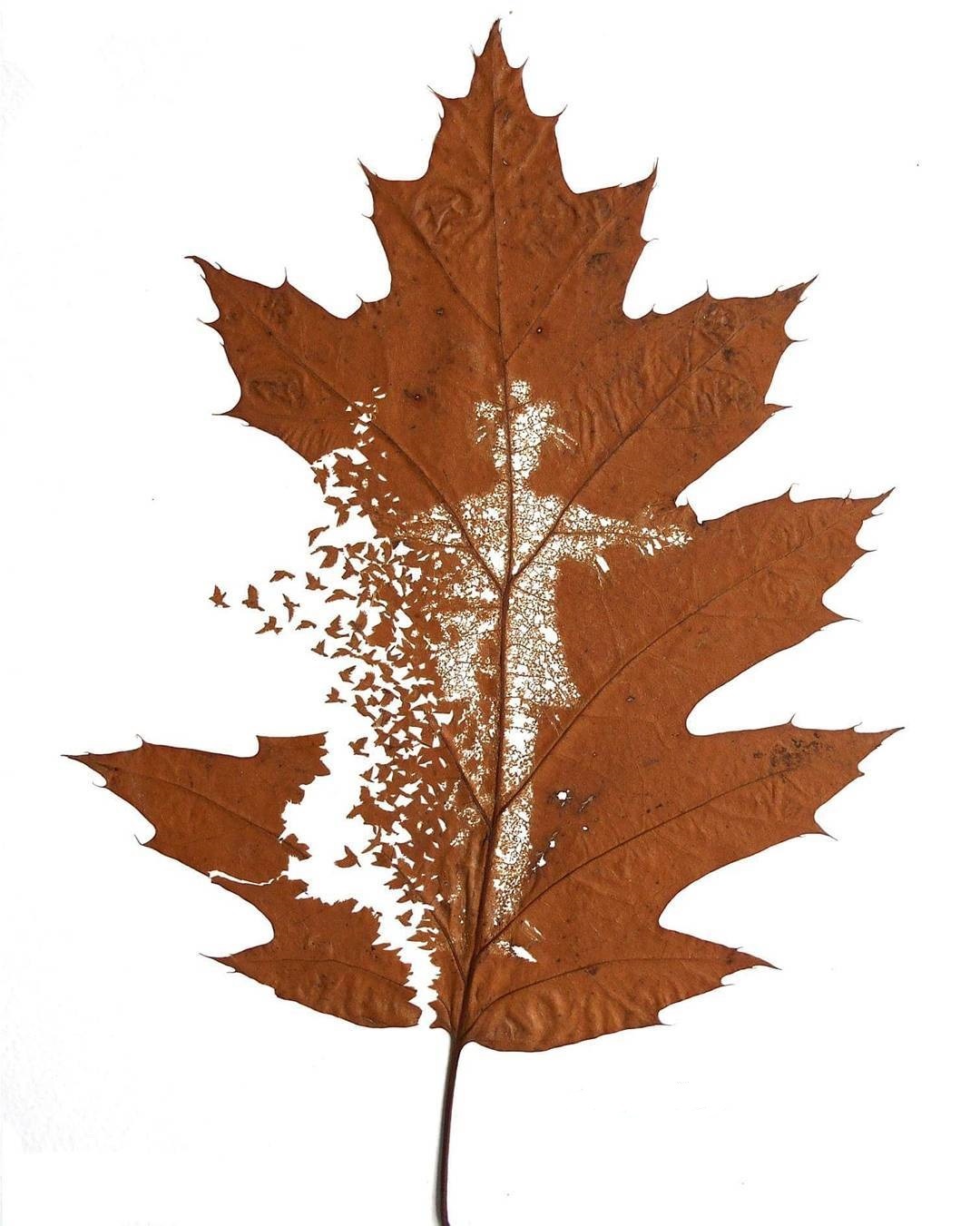 The art of creating figures on fallen leaves - Art, Autumn leaves, Longpost