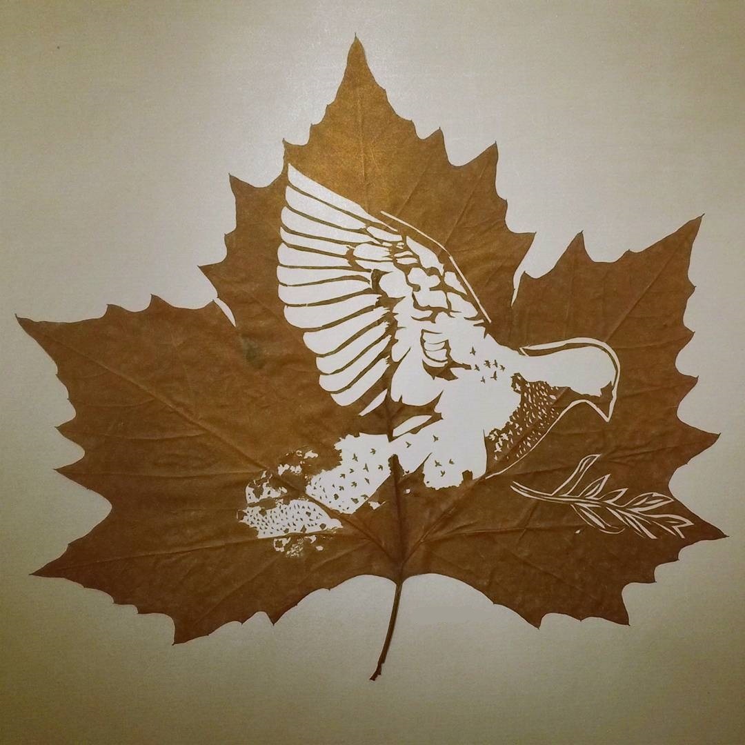 The art of creating figures on fallen leaves - Art, Autumn leaves, Longpost