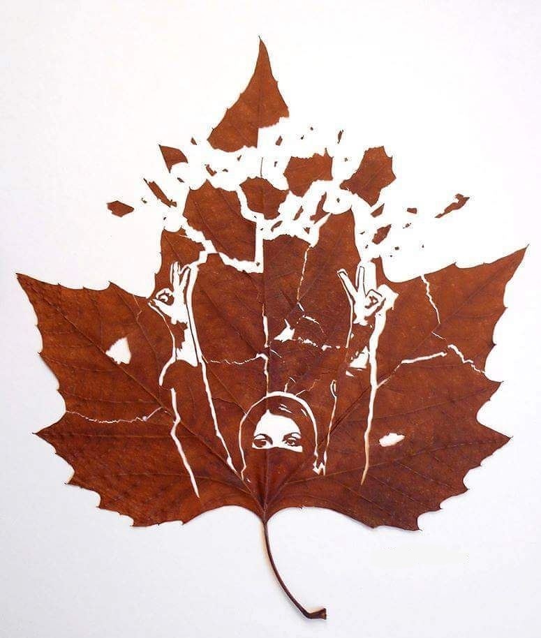 The art of creating figures on fallen leaves - Art, Autumn leaves, Longpost