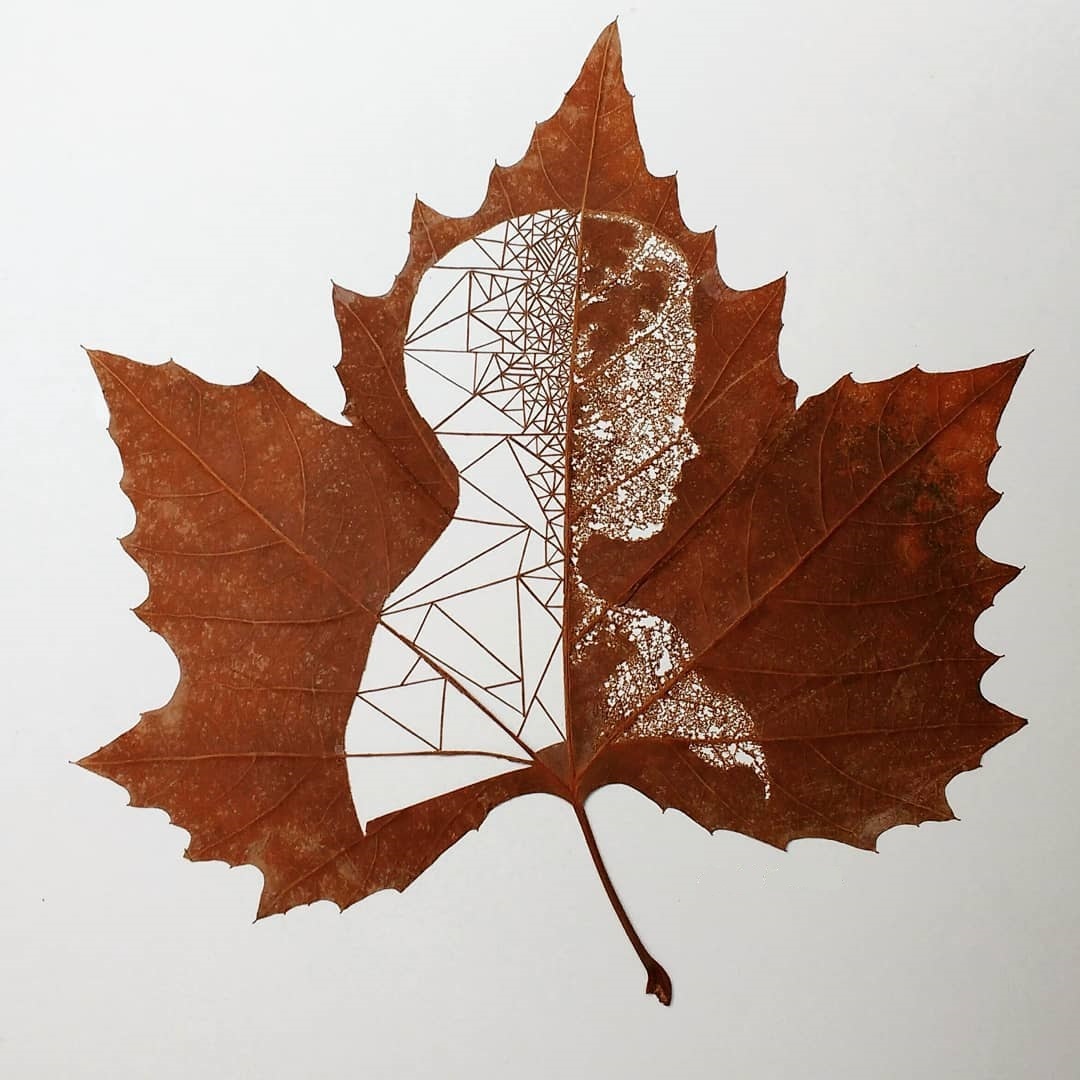 The art of creating figures on fallen leaves - Art, Autumn leaves, Longpost