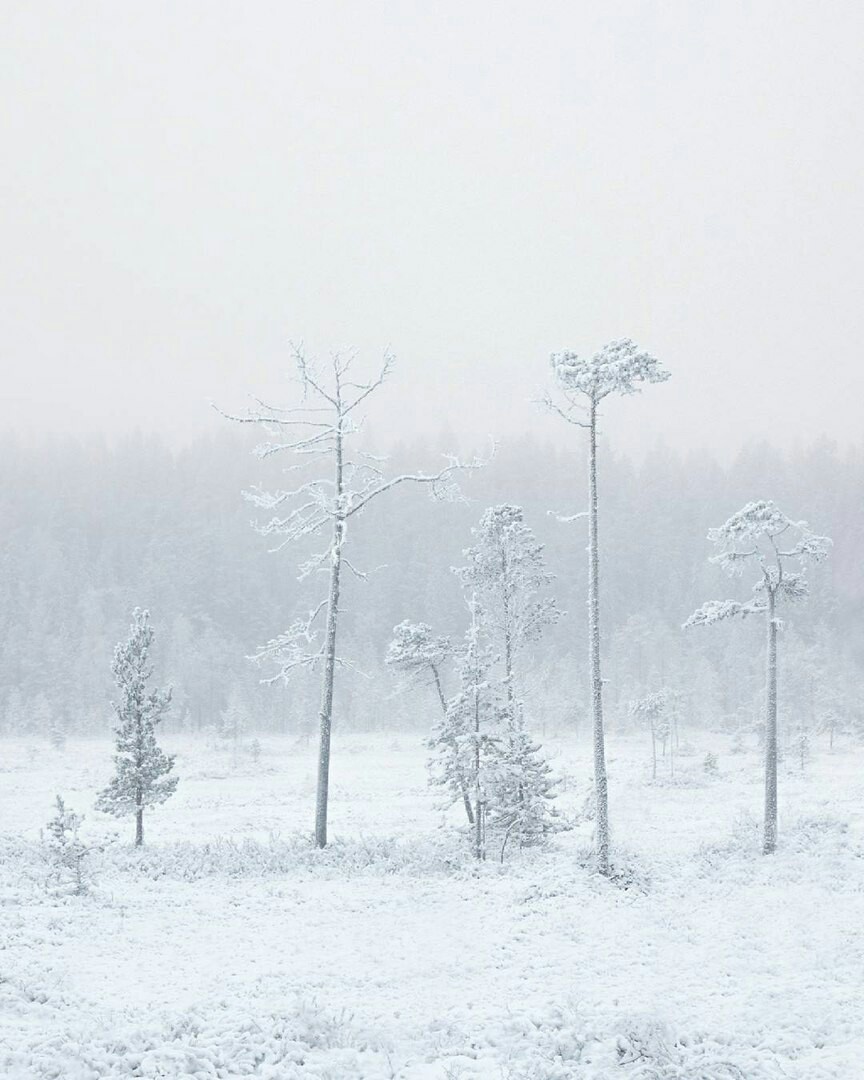 Finland - Cold, Not mine, Longpost