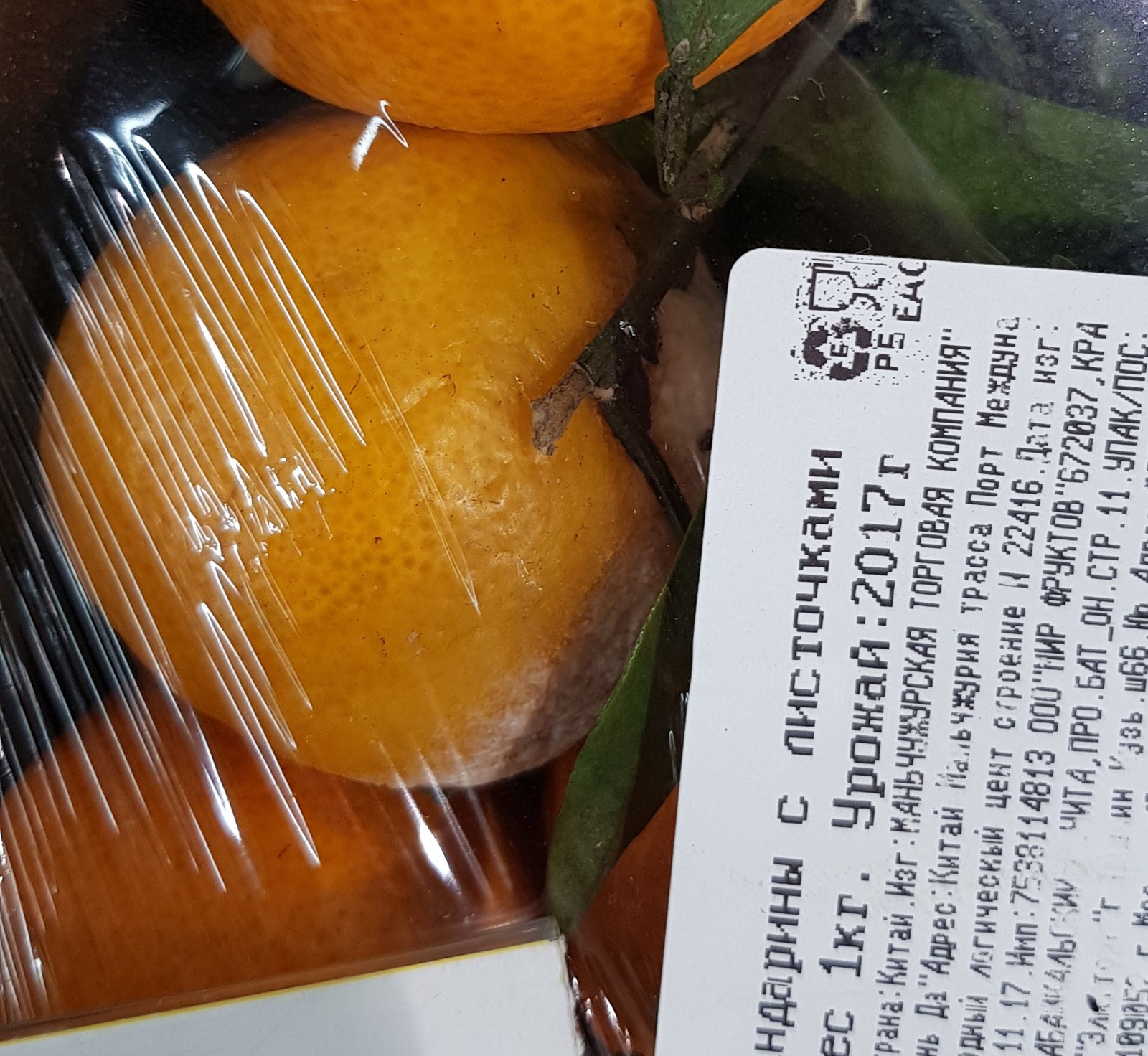 New Year's tangerines from Lenta. - My, Hypermarket Tape, Saint Petersburg, Tangerines, The photo, Longpost