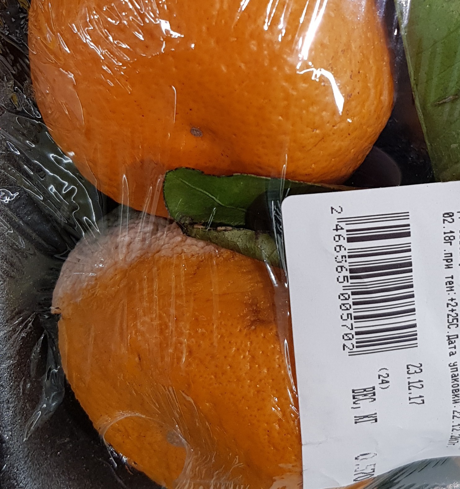 New Year's tangerines from Lenta. - My, Hypermarket Tape, Saint Petersburg, Tangerines, The photo, Longpost