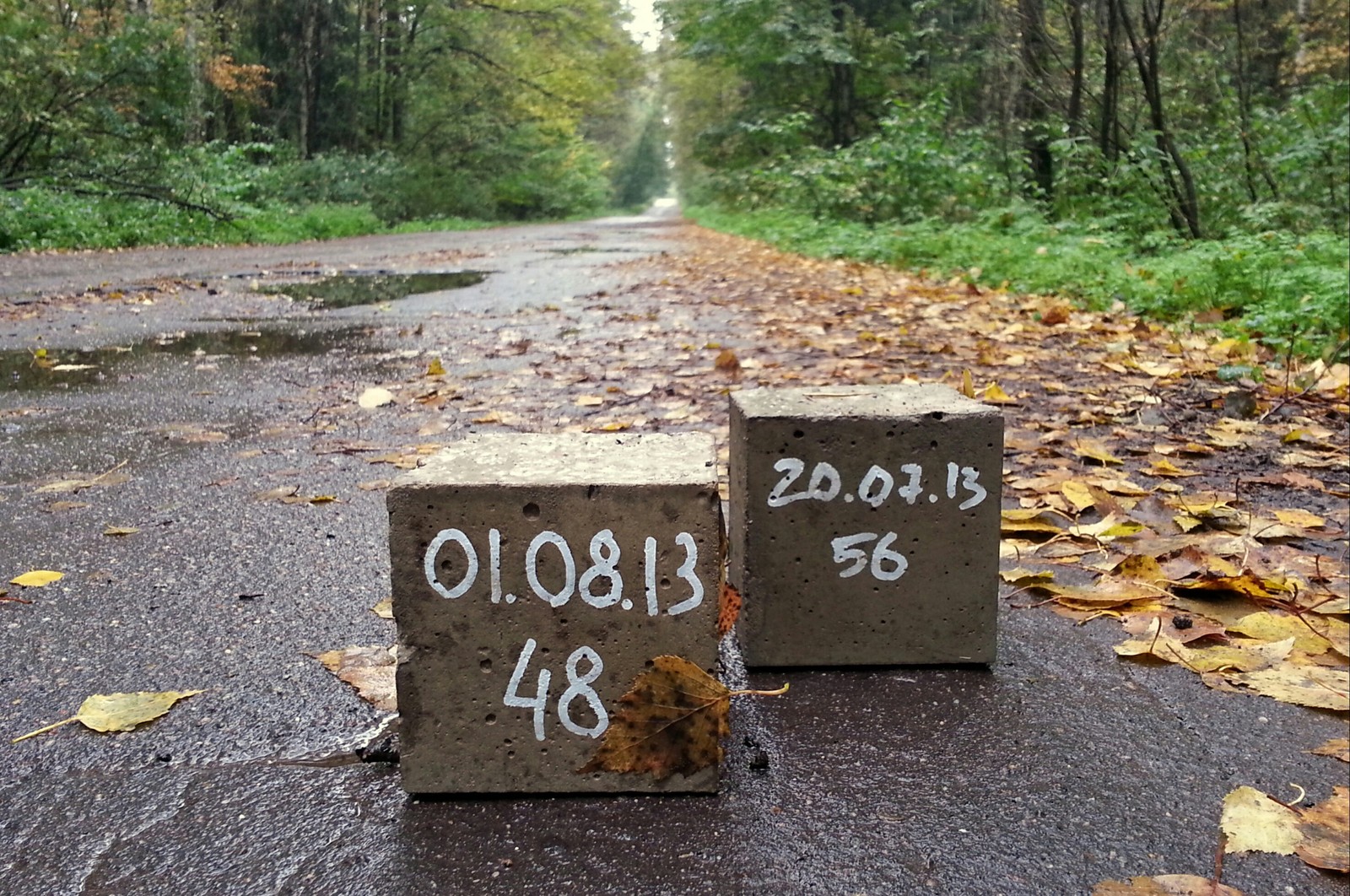 Concrete cubes in the forest - My, Forest, Mystery, Find, Elk Island