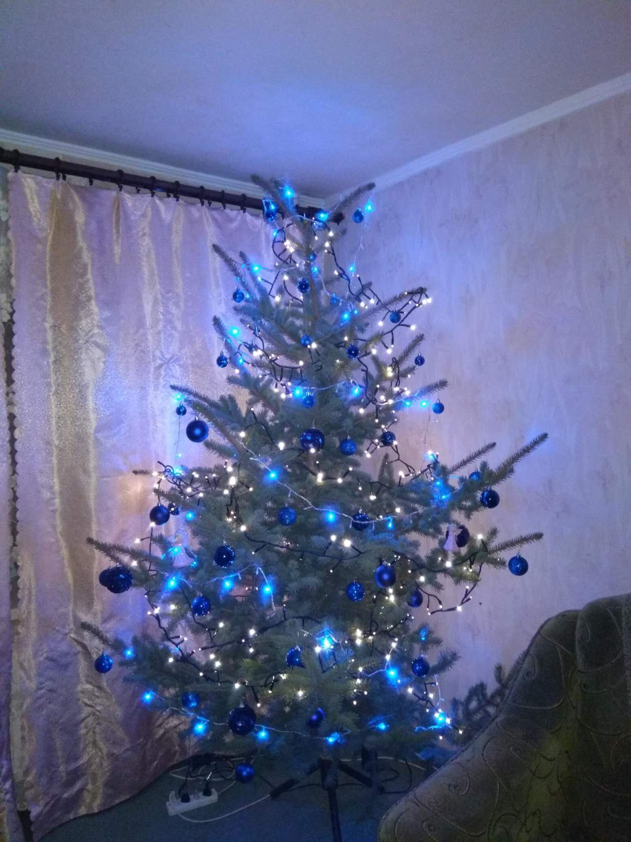 Christmas tree - My, Christmas trees, Holidays