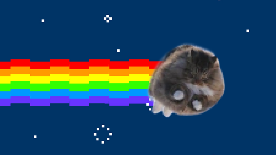 The graceful cat is back - My, cat, , Nyan cat, Box and cat, Photoshop, Photoshop master, , Longpost