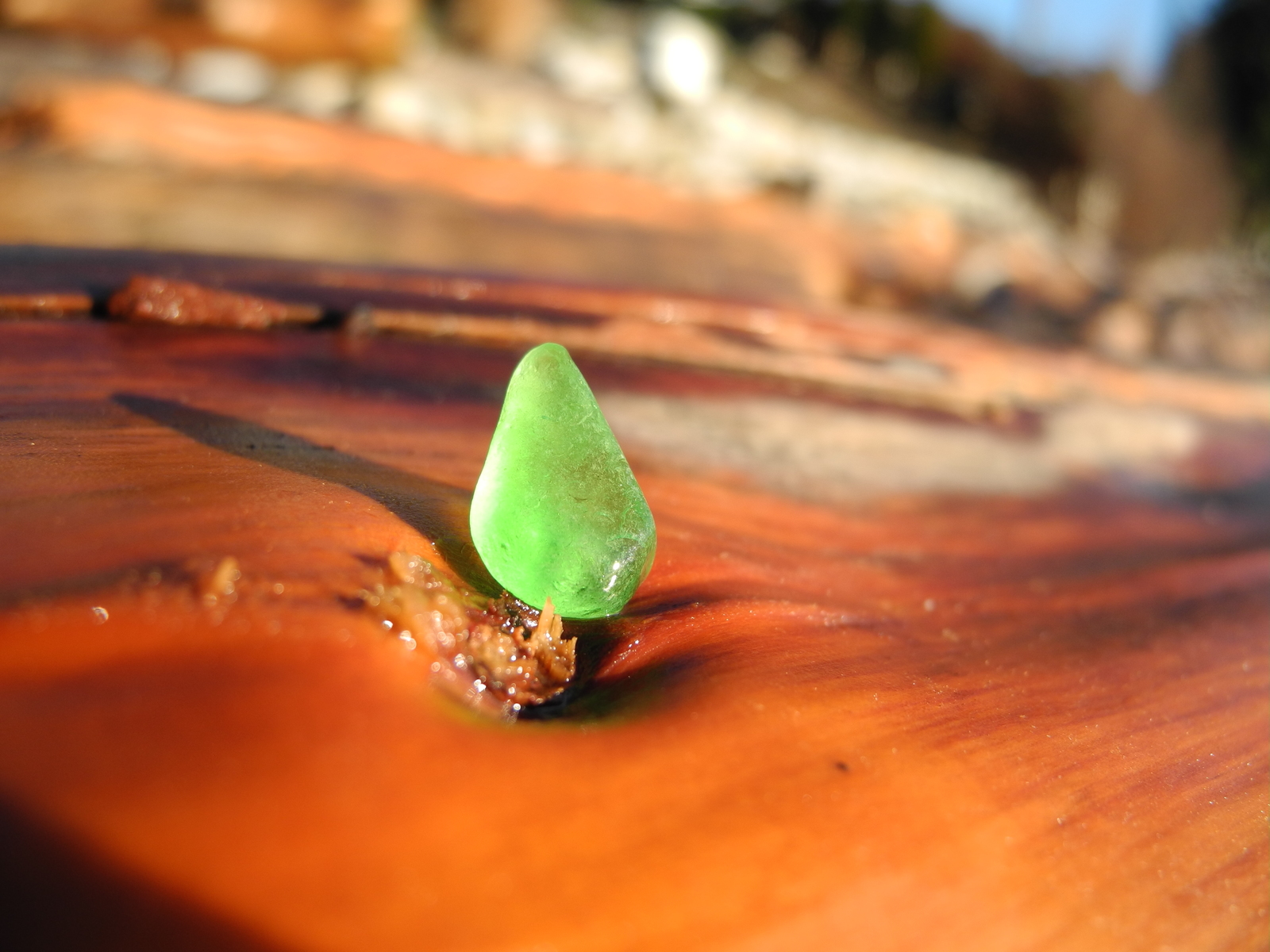 Anonymous Santa Claus - My, Find, Wood, Sea glass, , Longpost