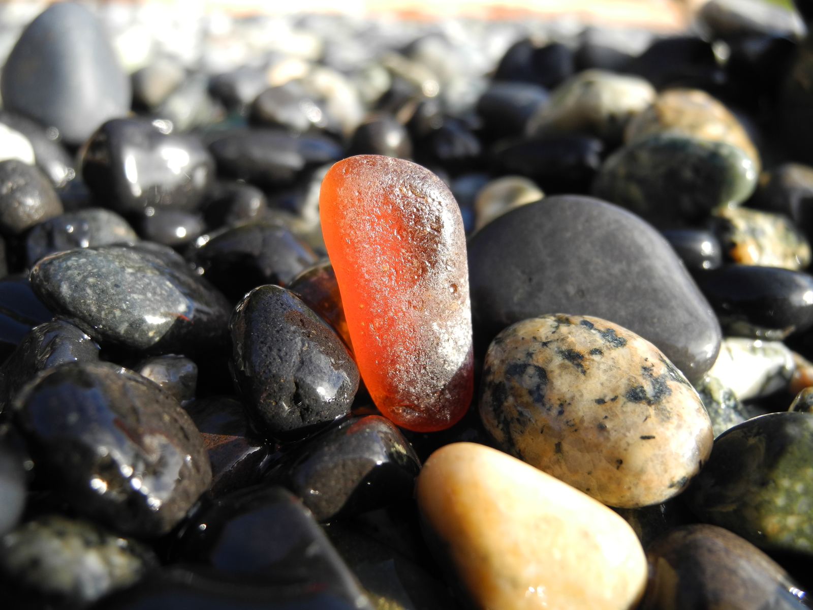 Anonymous Santa Claus - My, Find, Wood, Sea glass, , Longpost