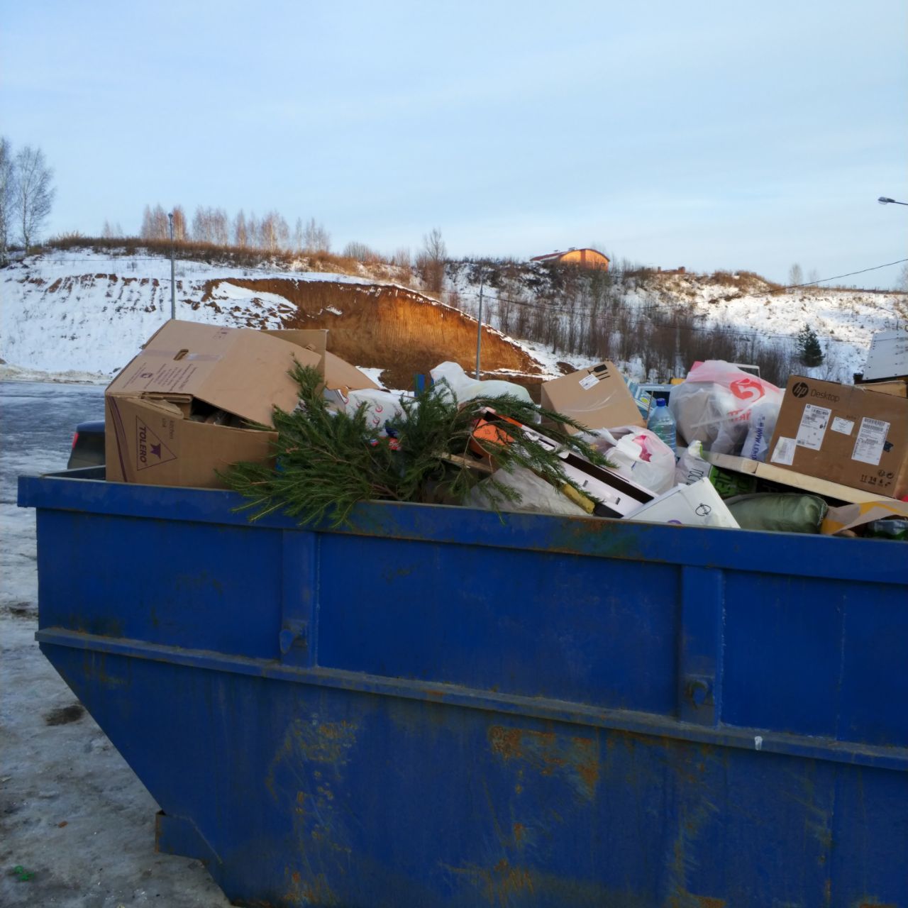 Someone gave up before the start... - My, New Year, Christmas trees