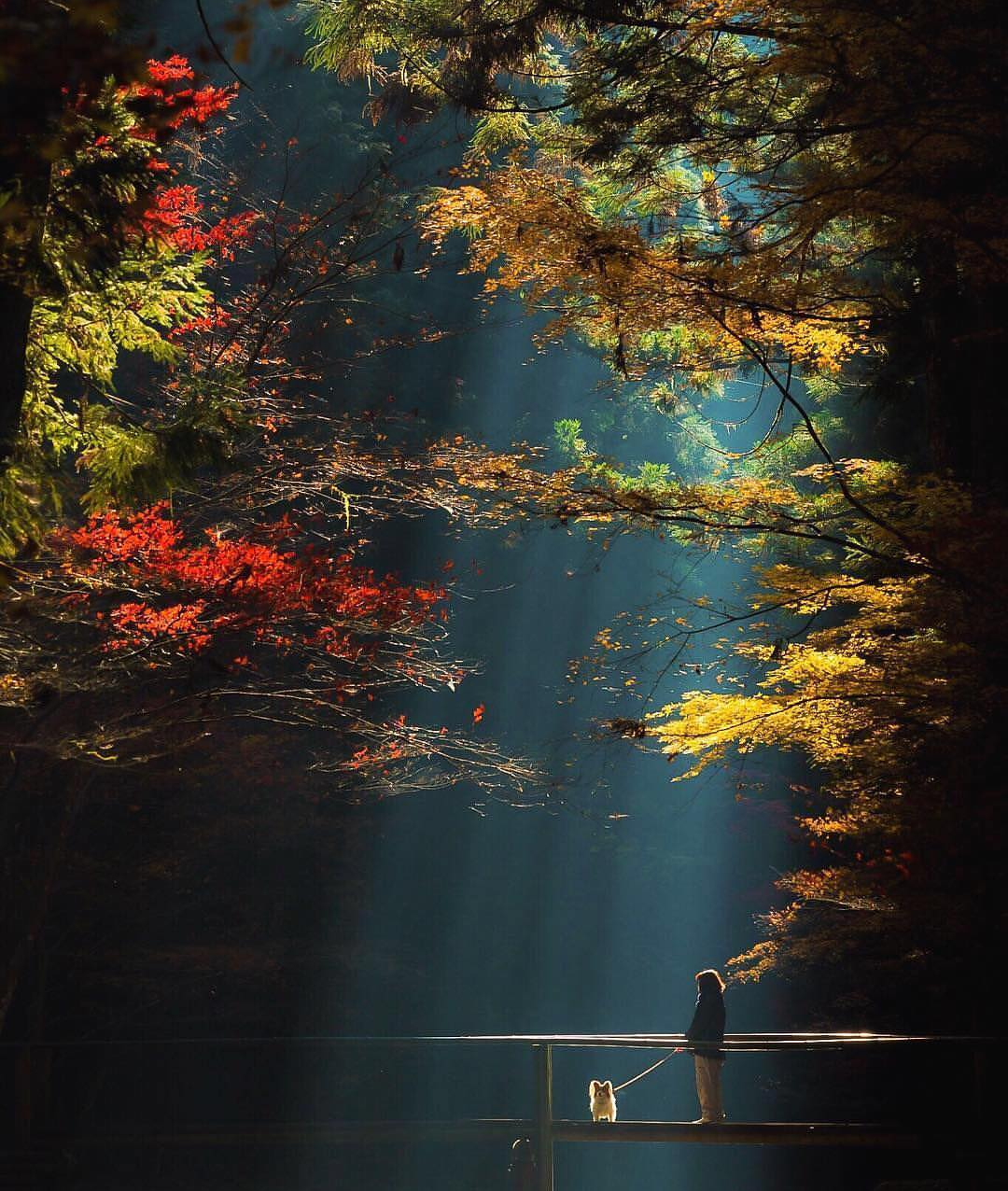 Japan - Japan, beauty