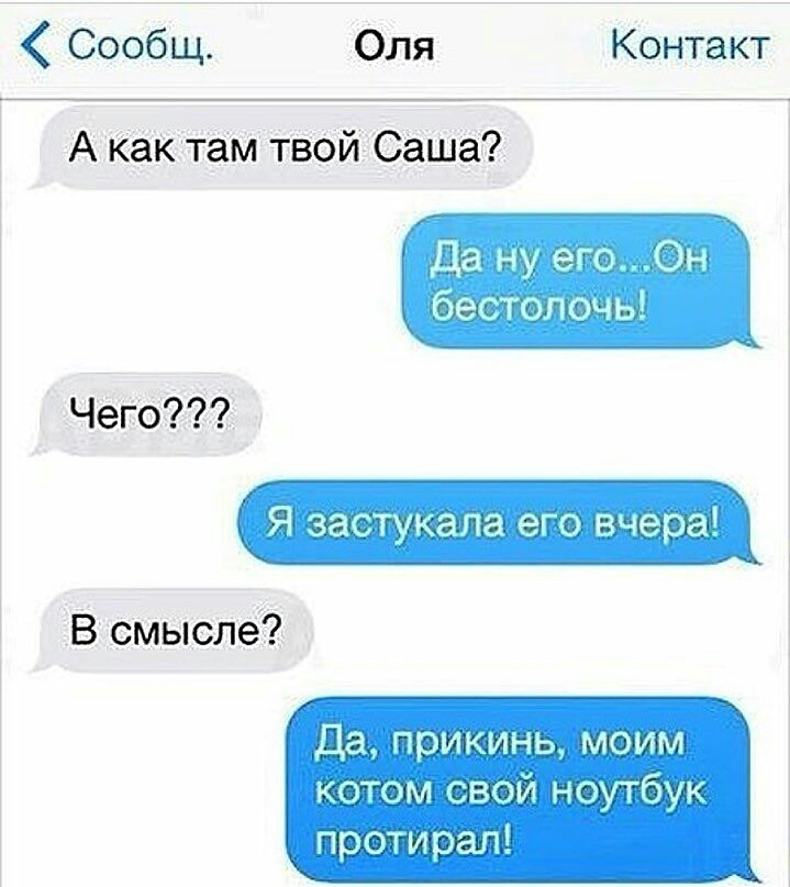 Смешные картинки про сашу