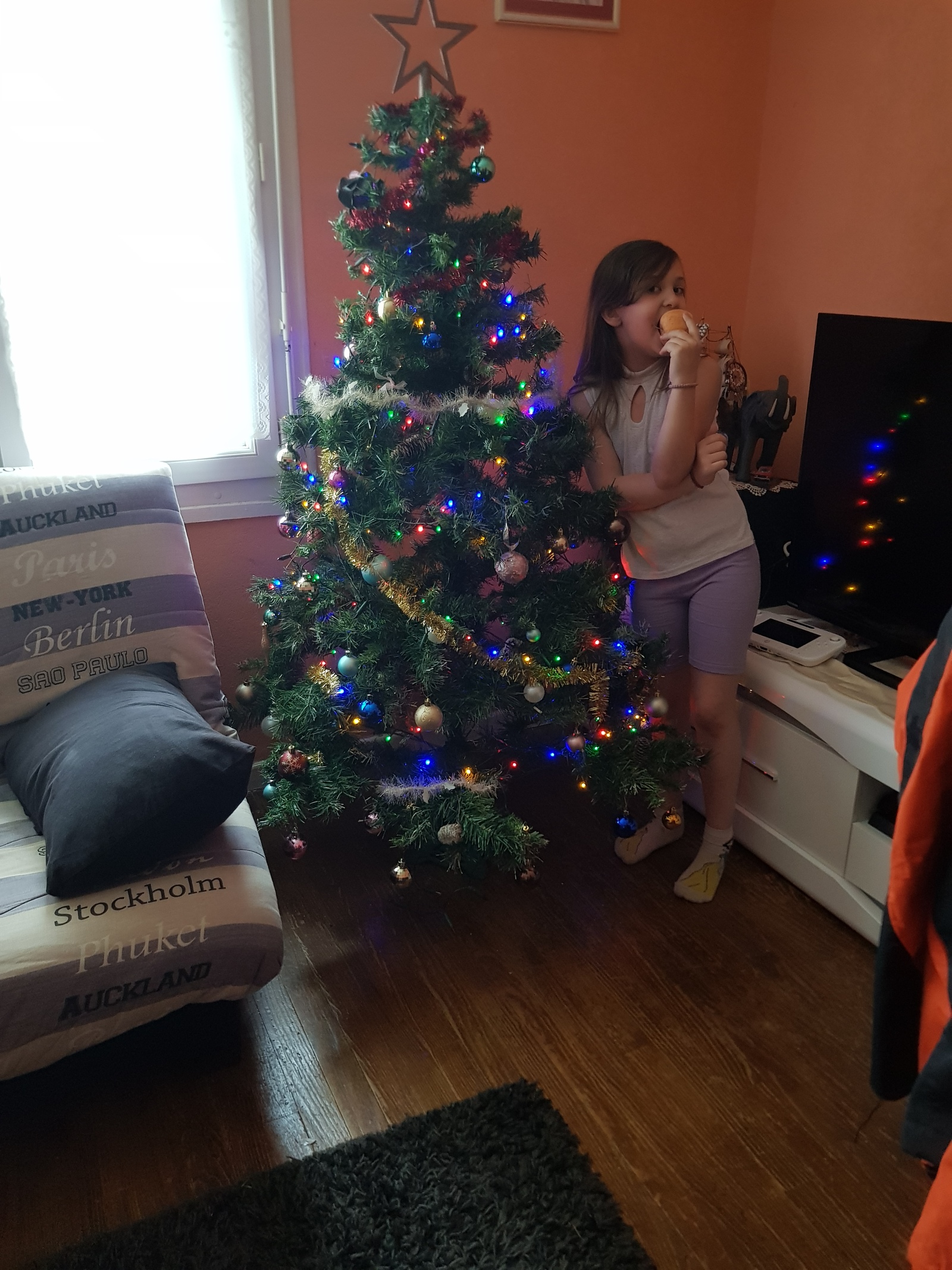 na sahaline yolka vo francii mashina