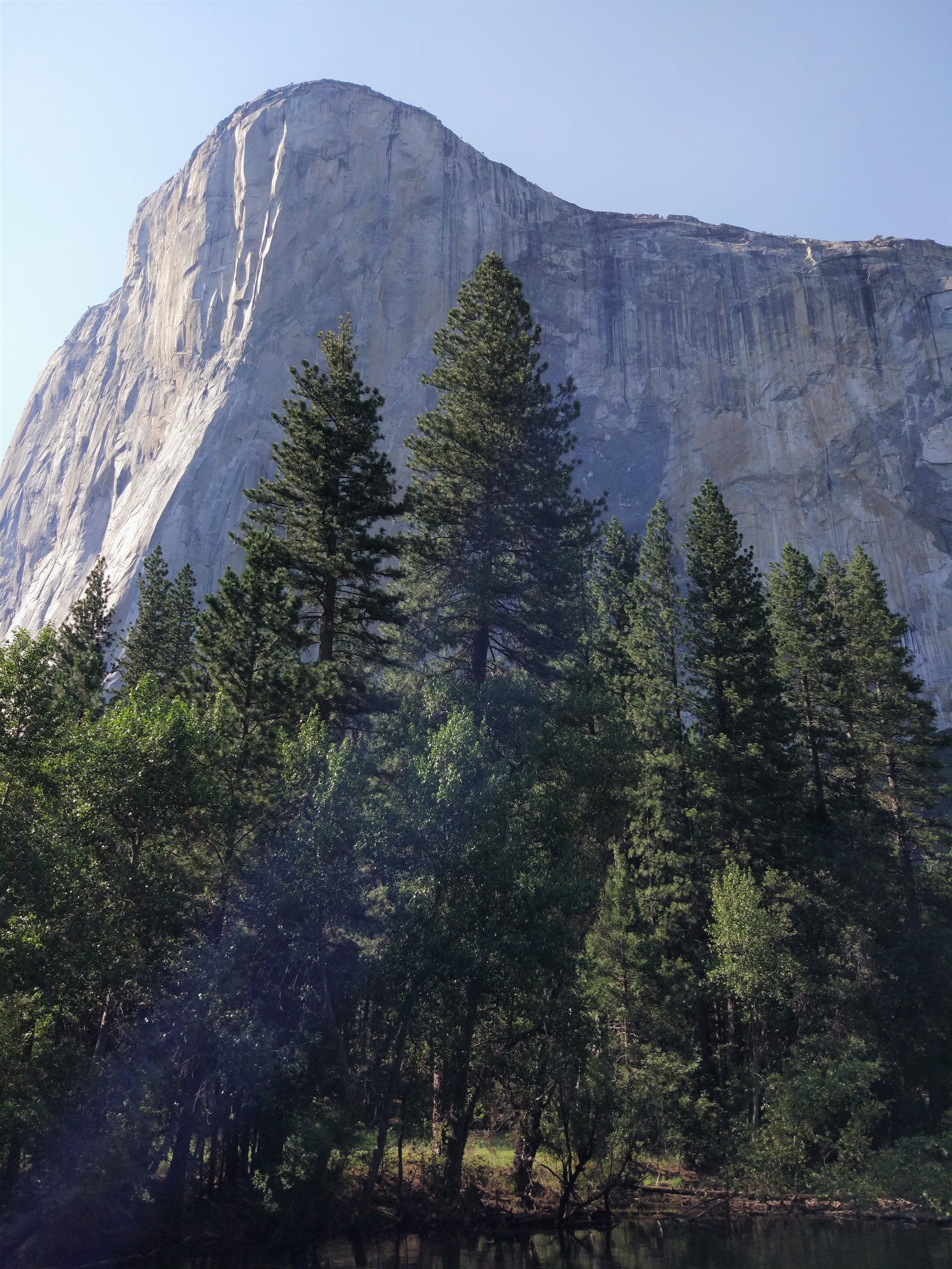 On wheels in the USA. Part 1: Yosemite National Park. - My, USA, Travels, Yosemite Park, Road trip, Longpost, My, Interesting