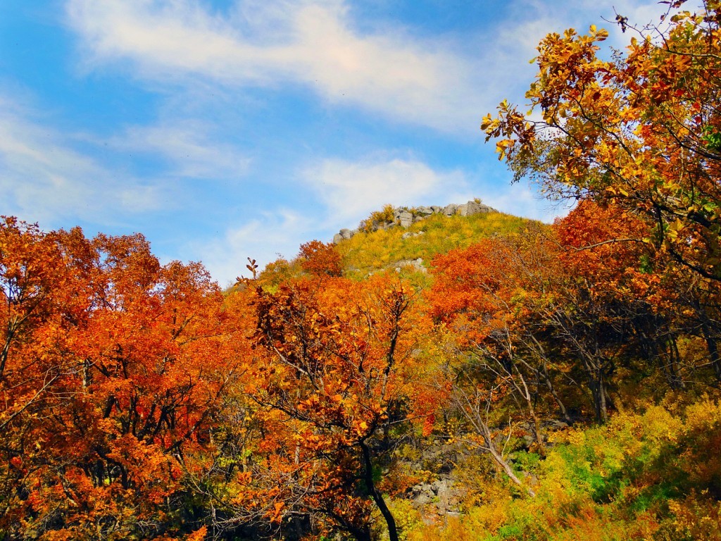 Autumn, on the extinct volcano Senkin's hat - My, Travels, Primorsky Krai, Oktyabrsky District, , Senkina hat, beauty, Longpost