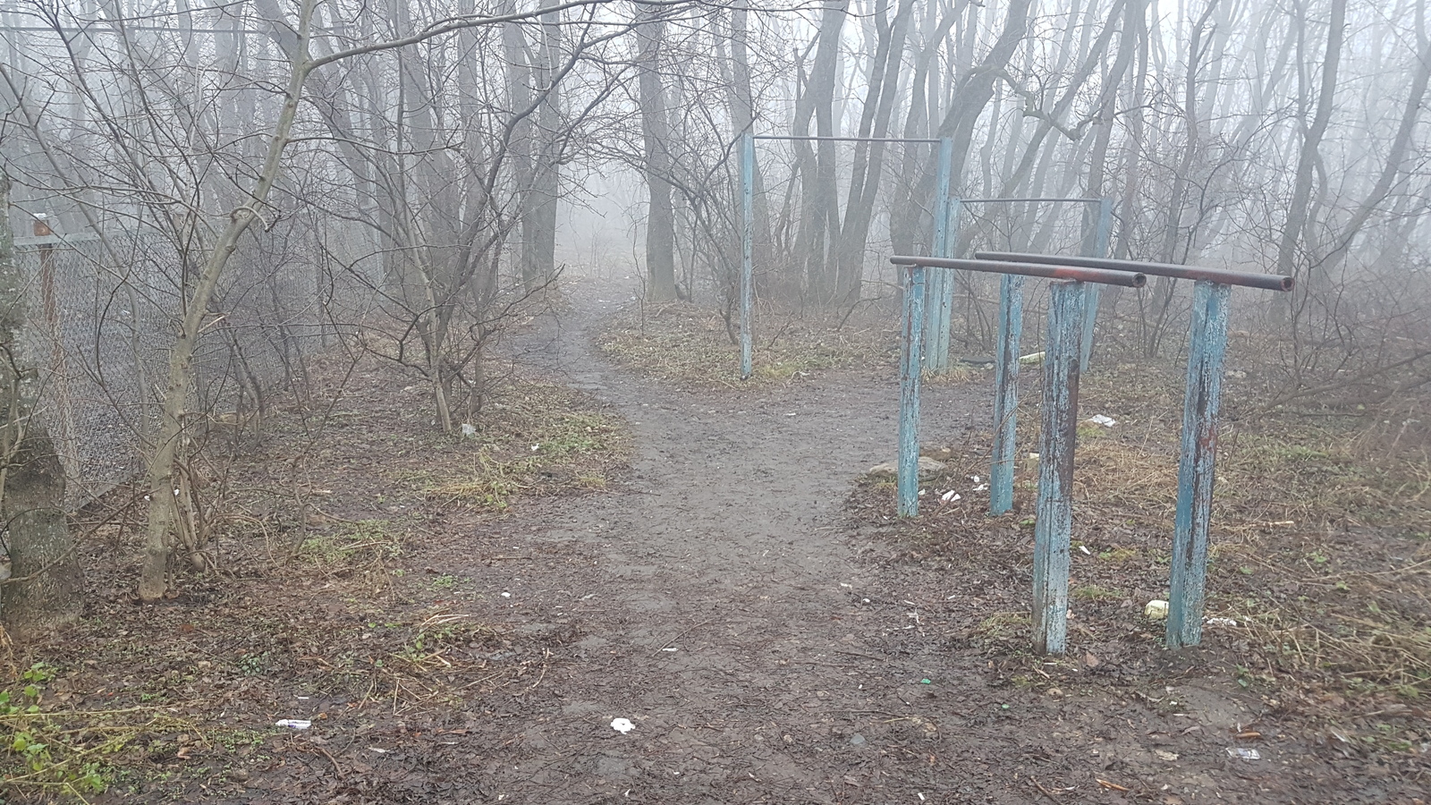 Чистомен пропал, но дело его живо. - Ставрополь, Лес, Мусор, Длиннопост, Фотография