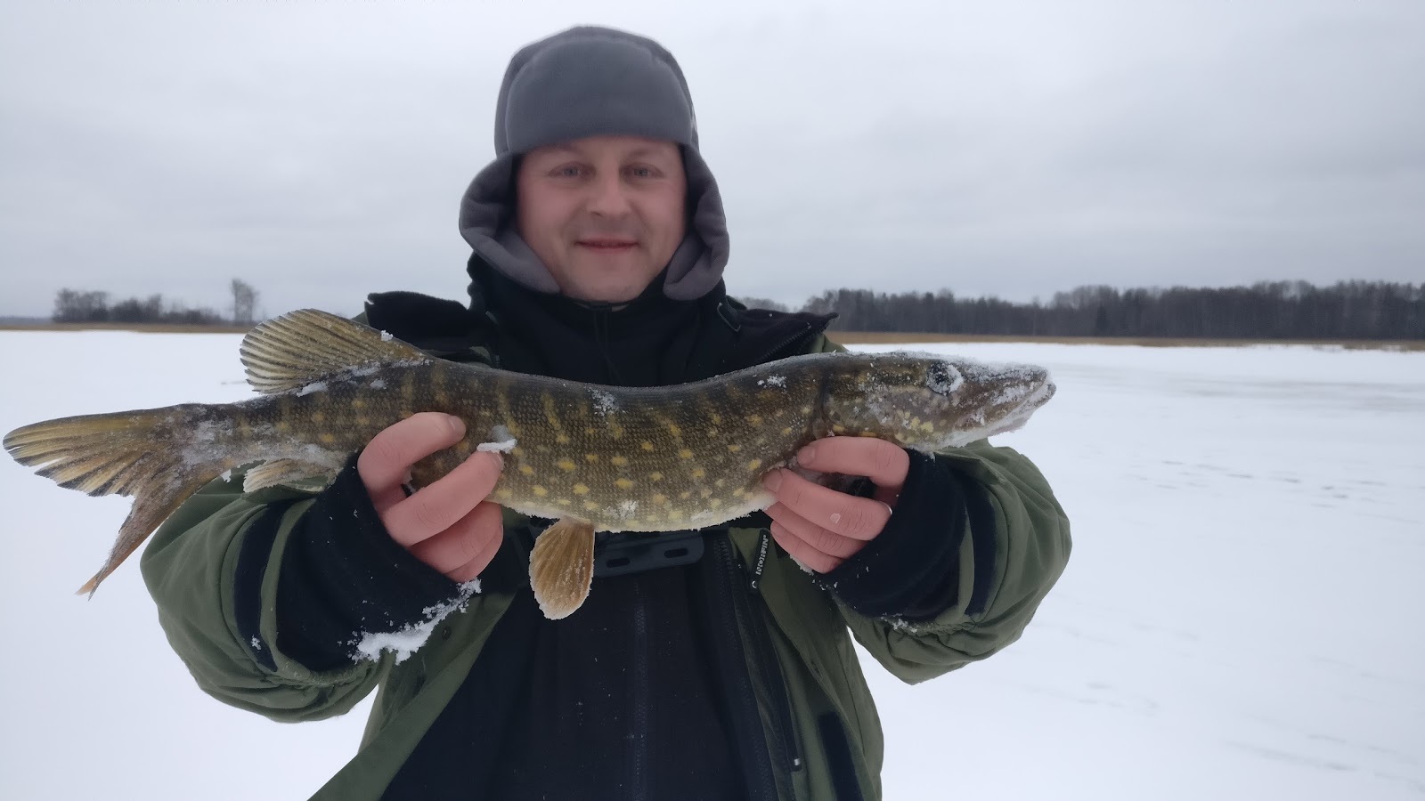 Щука на жерлицы по первому льду - Моё, Рыбалка, Зимняя рыбалка, Щука, Жерлицы, Ловля на живца, Ловля на жерлицы, Видео, Длиннопост, Жерех