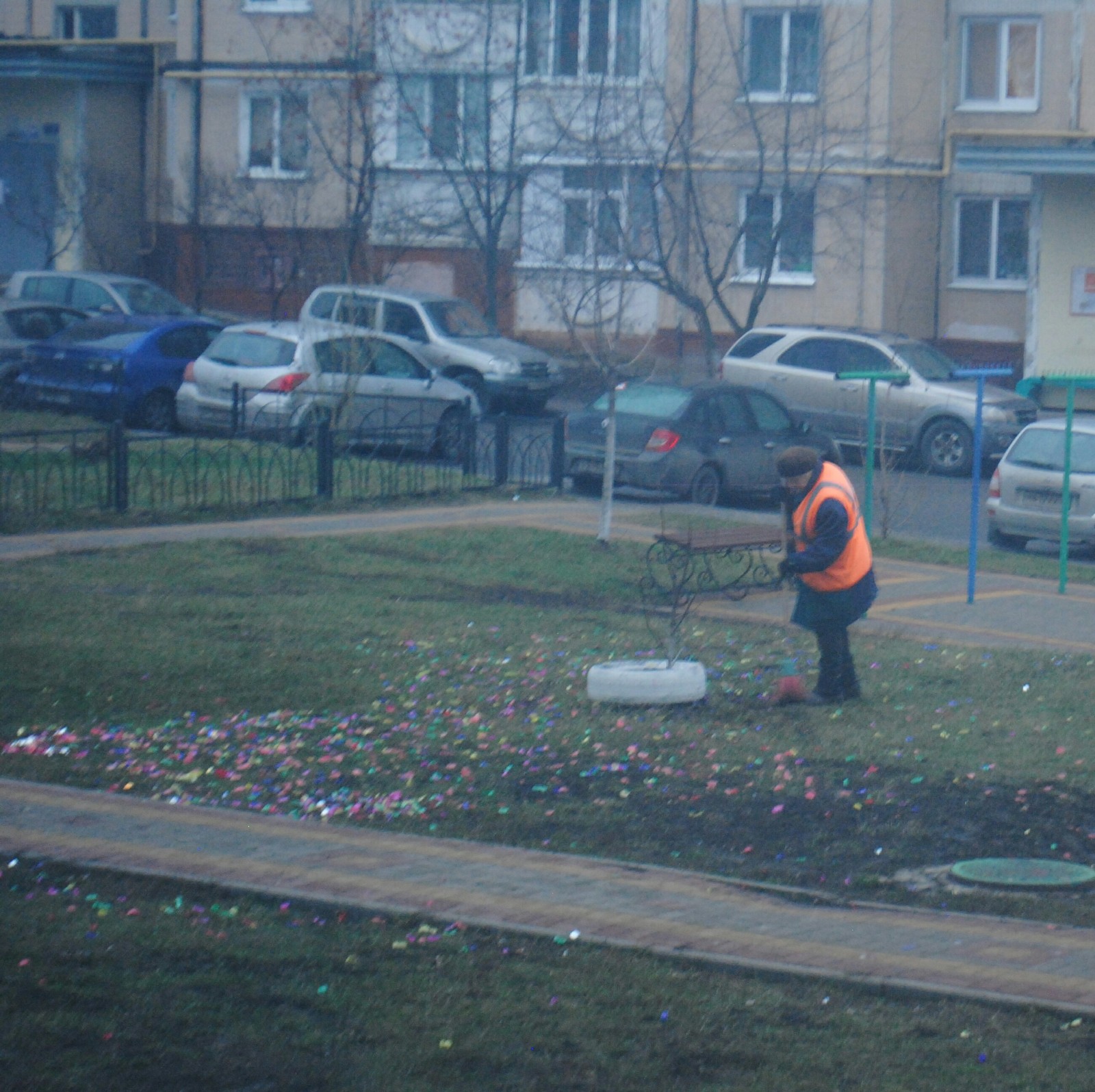 Pigs - My, New Year, Clapperboard, Street cleaner, Disgusting