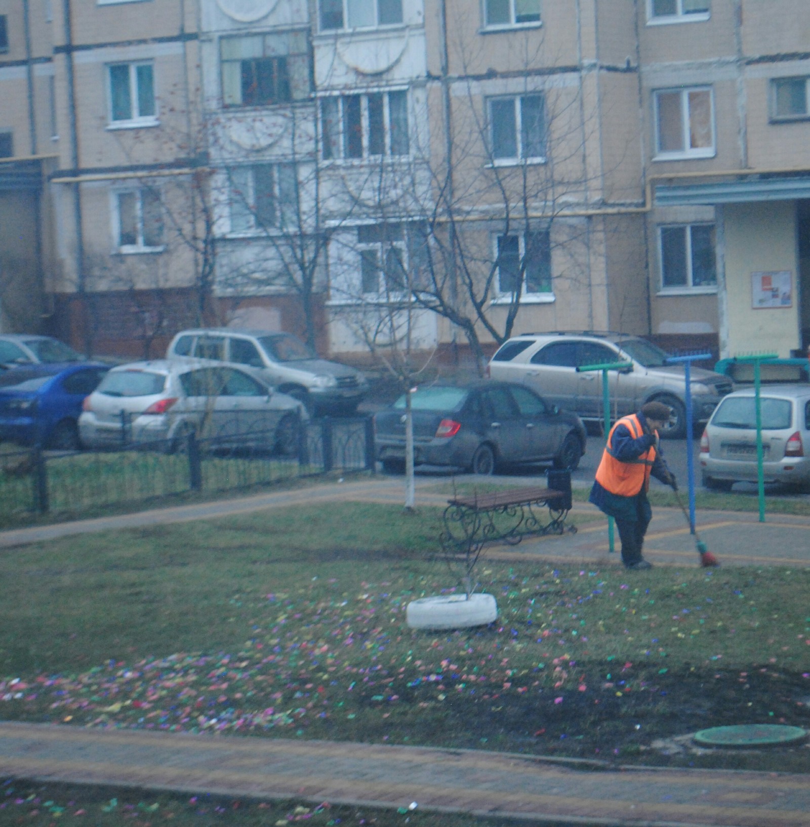 Pigs - My, New Year, Clapperboard, Street cleaner, Disgusting