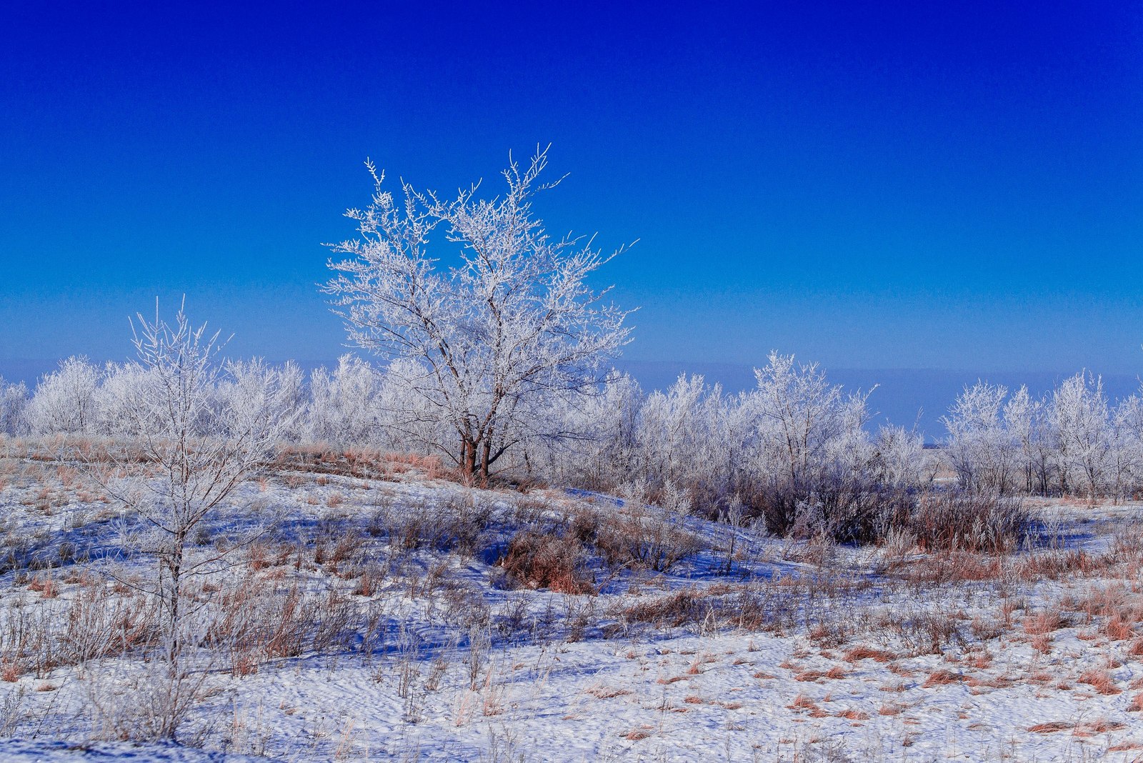 Winter beauty - My, Nikon, The photo, Landscape, Winter