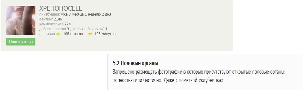 Ну и что должны воспринимать здравомыслящие пользователи портала? - Хреноносец, Нарушение правил, Нарушение правил Пикабу