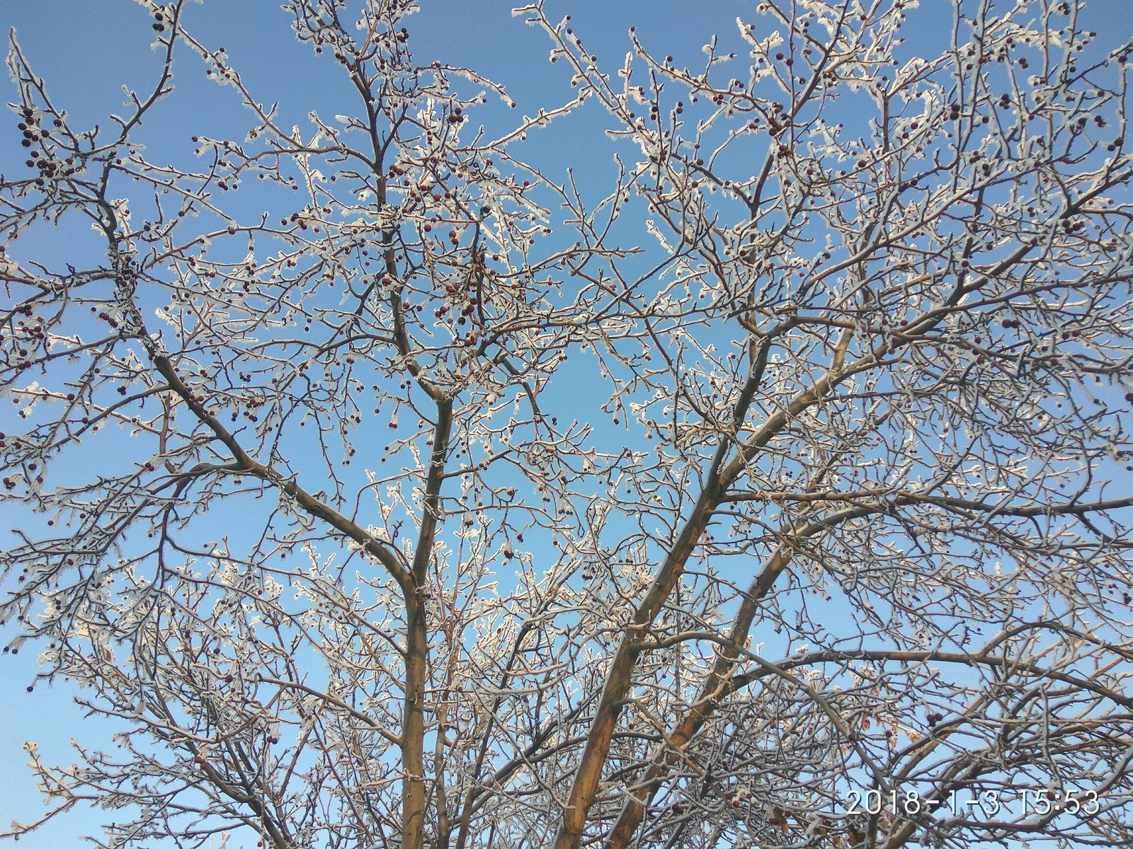 For those who are unlucky with winter this year (photo post). - My, The photo, The park, Longpost, Bashkortostan, Winter, Snow, Frost